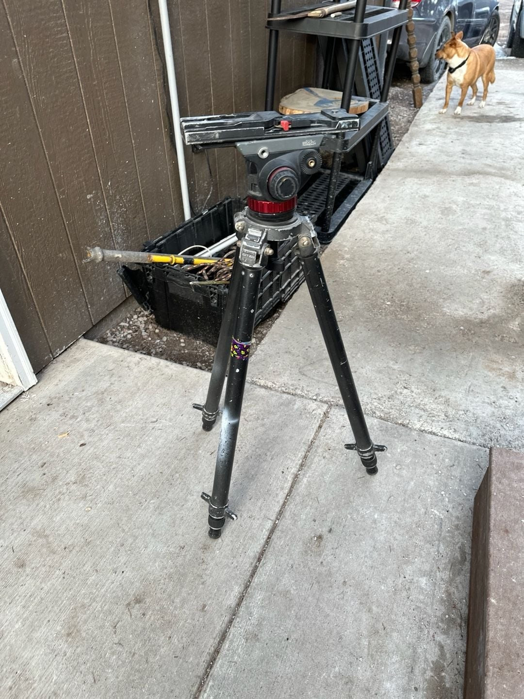 JVC KA - 551U Tripod Base with Gitzo Professional Video Tripod Legs and Fluid Head - I Bought a Yard Sale
