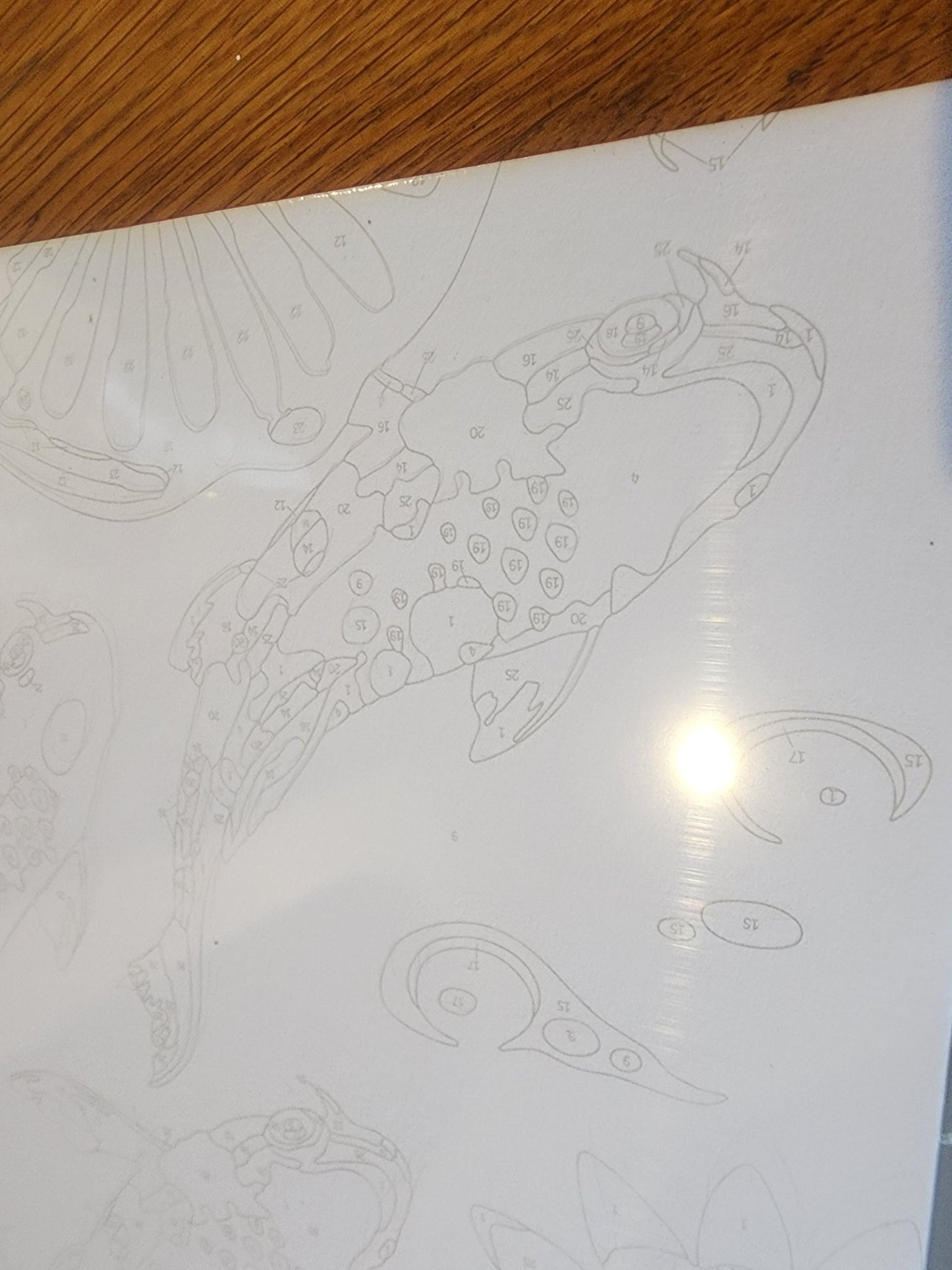 Art Maker PAINTING BY NUMBERS: KOI FISH w/ Supplies~~NIP - I Bought a Yard Sale