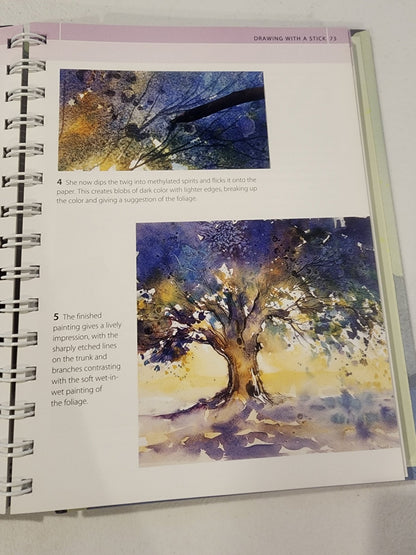 Artist's Bibles Ser.: The Watercolor Artist's Bible by Marylin Scott (2009,... - I Bought a Yard Sale