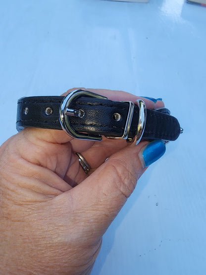 Black Beauty Triple Spike Pet Collar & Leash for Dog 16" long - I Bought a Yard Sale