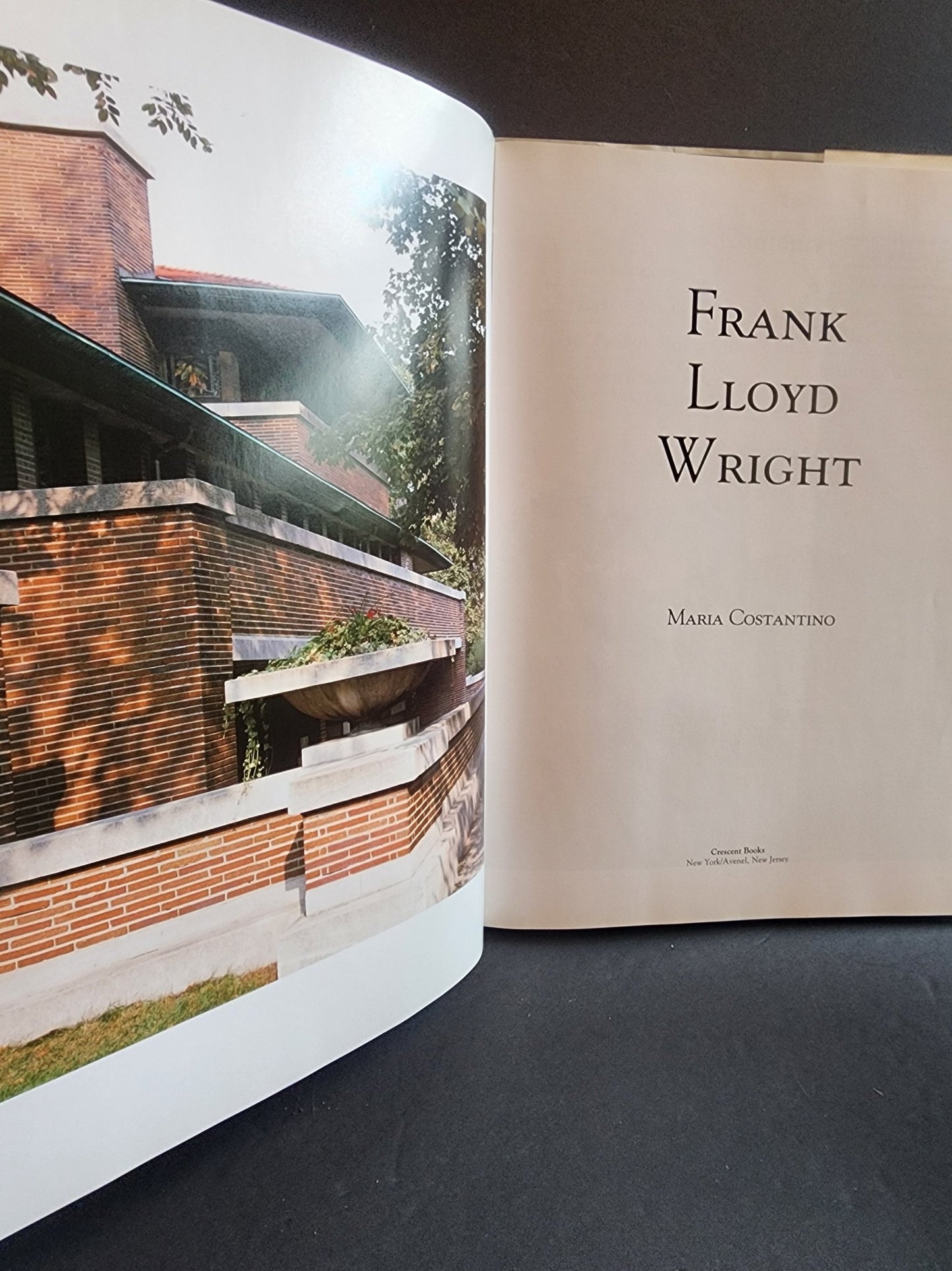 Frank Lloyd Wright Hardcover Book Maria Costantino Architecture Photos Fallingwater 1991 - I Bought a Yard Sale