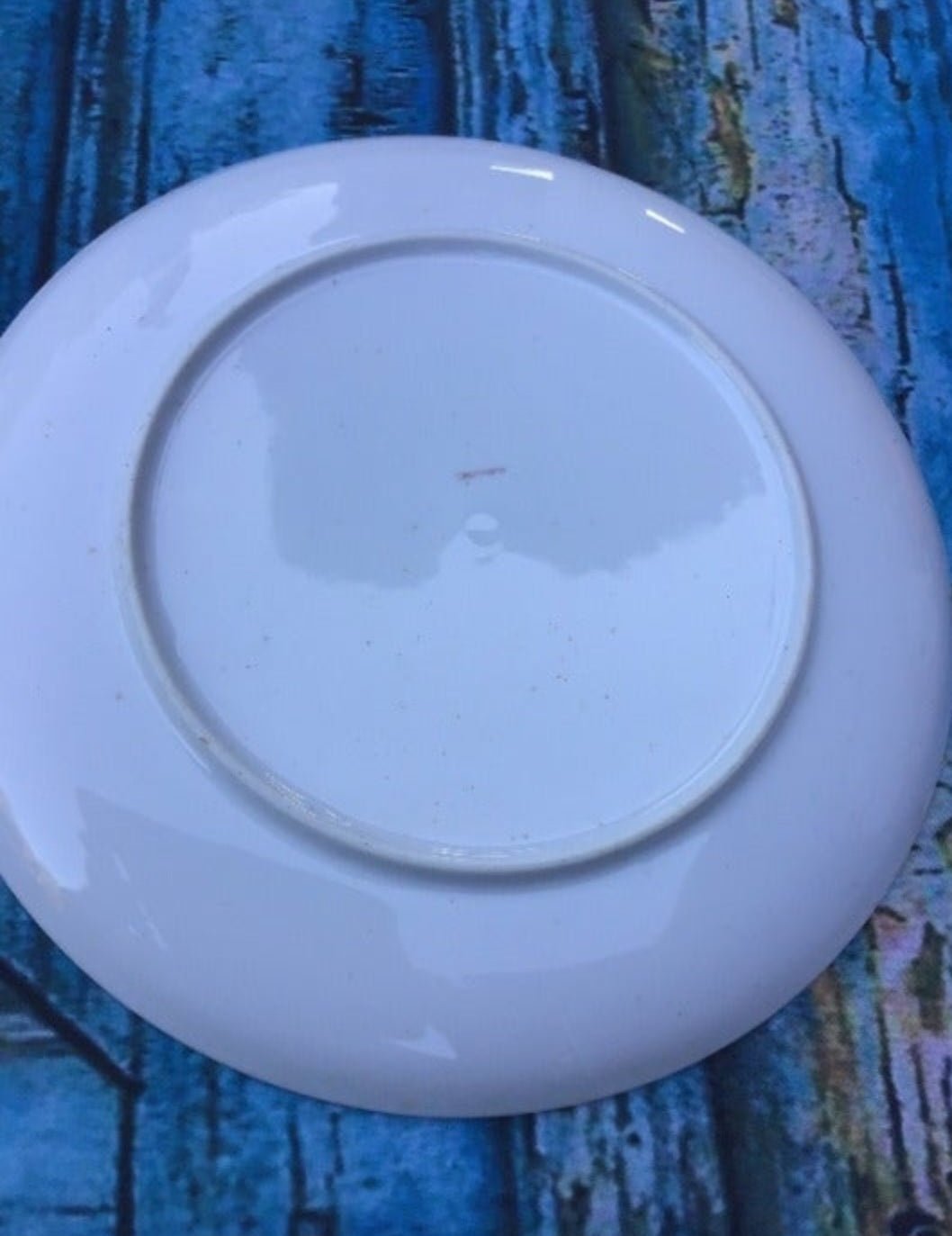German Stoneware Plate depicting a family of deer in a picturesque forest scene - I Bought a Yard Sale