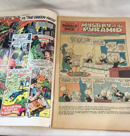 Gold Key Comic Walt Disney Donald Duck Plumber No. 175 copyright 1976 - I Bought a Yard Sale