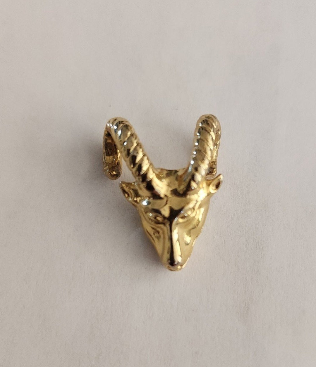 Gold plated Ram Head's Pendant - I Bought a Yard Sale
