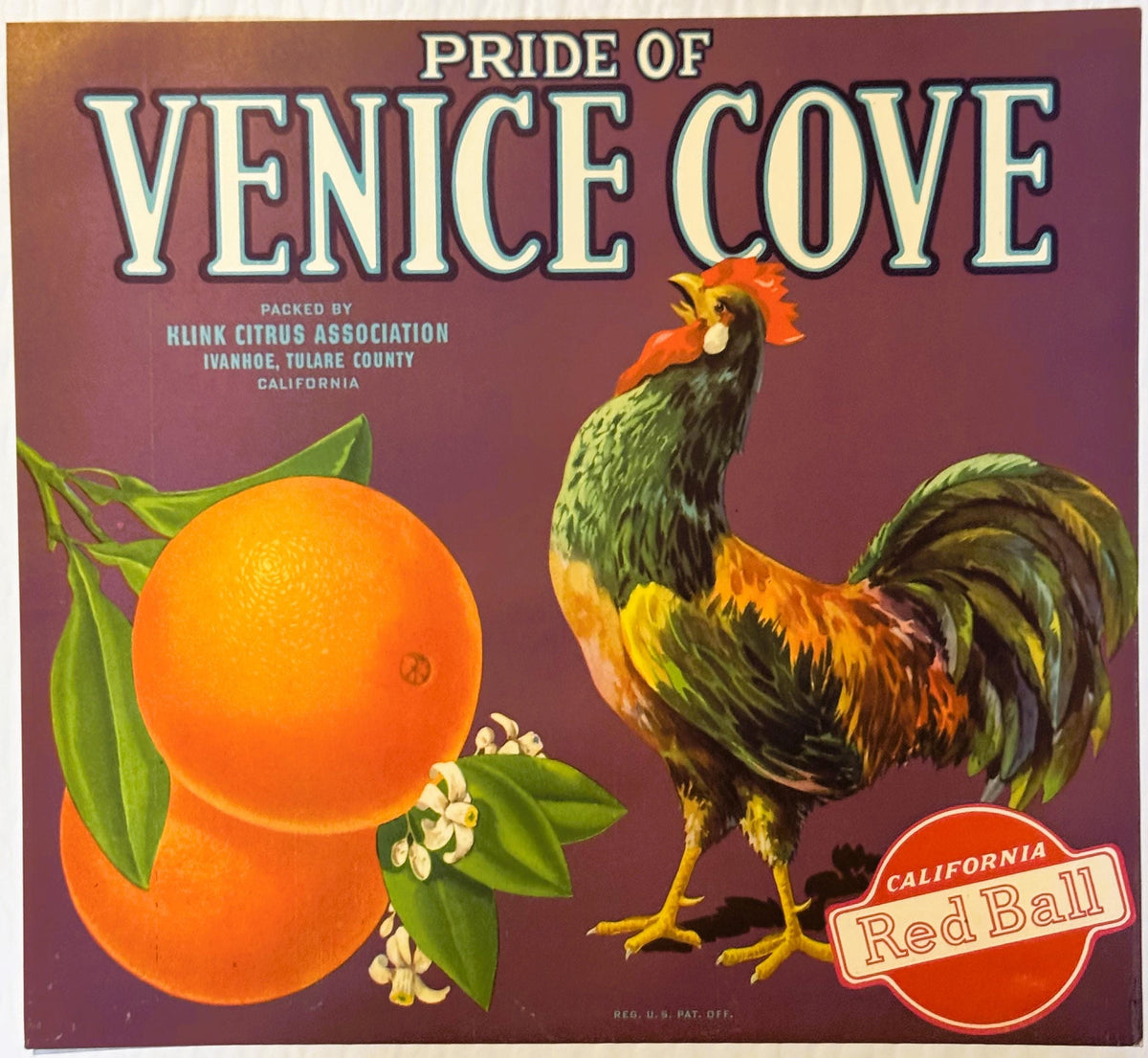 Antique 1930s Pride of Venice Cove Orange Crate Label — Klink Citrus Association, Ivanhoe, Tulare County CA