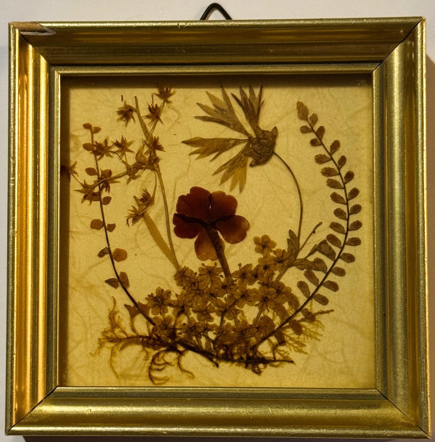 Vintage West German Dried Flower Art 🌸 1972 Framed Pressed Botanical Miniature