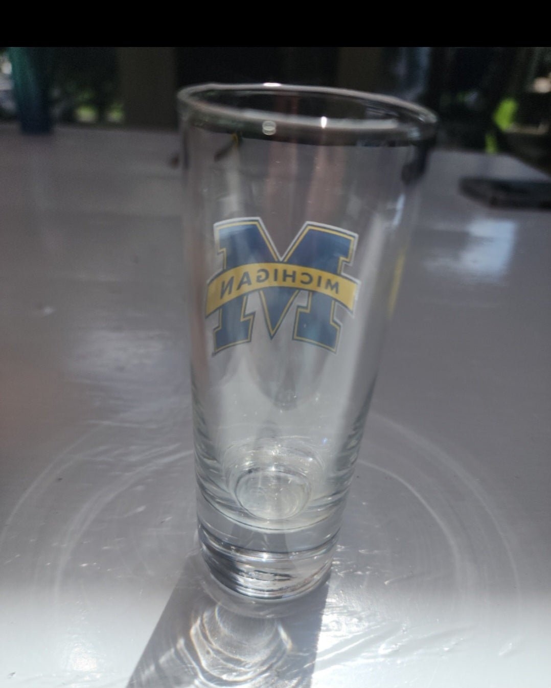 Michigan State Tall Shot Glass - I Bought a Yard Sale
