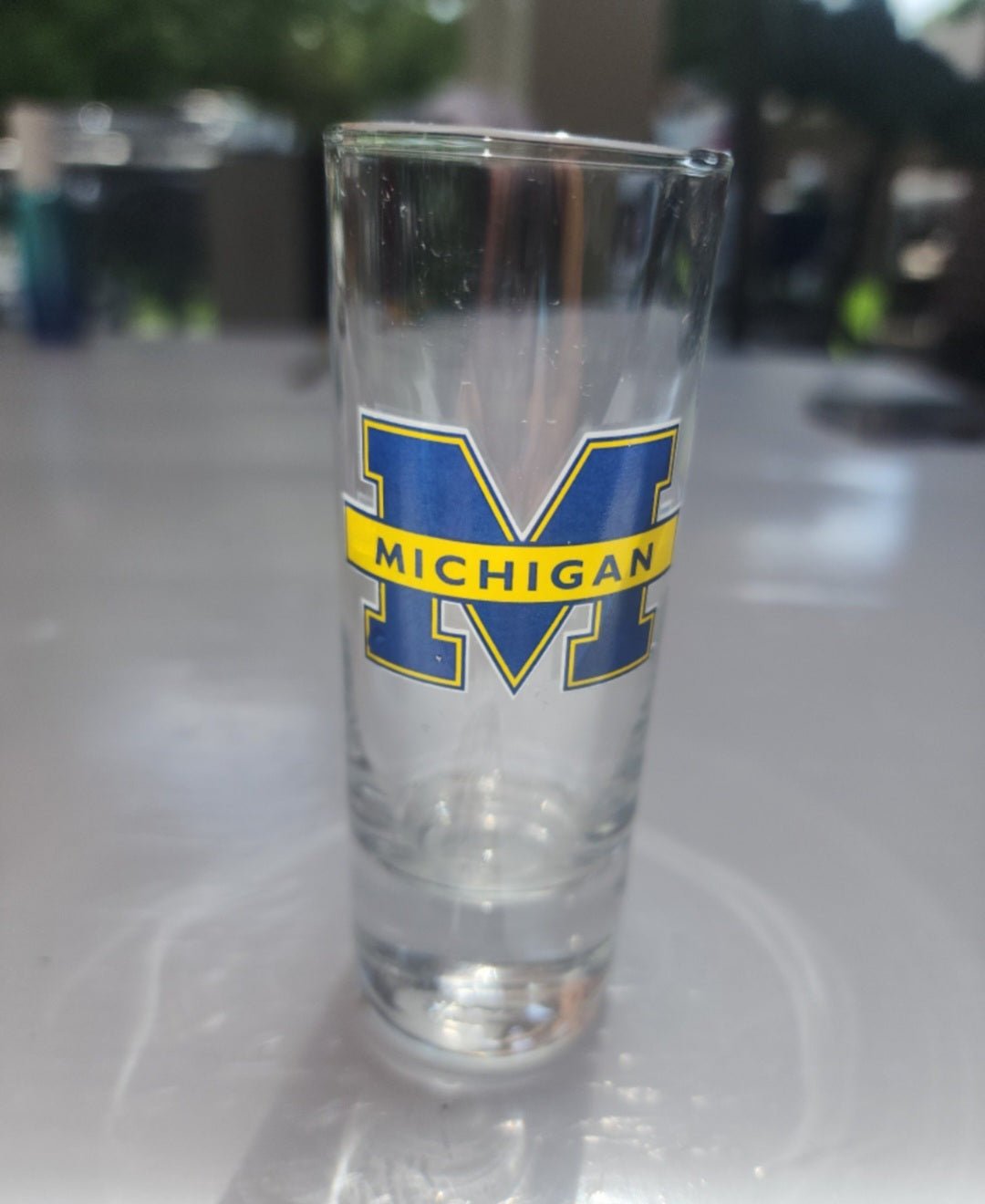 Michigan State Tall Shot Glass - I Bought a Yard Sale