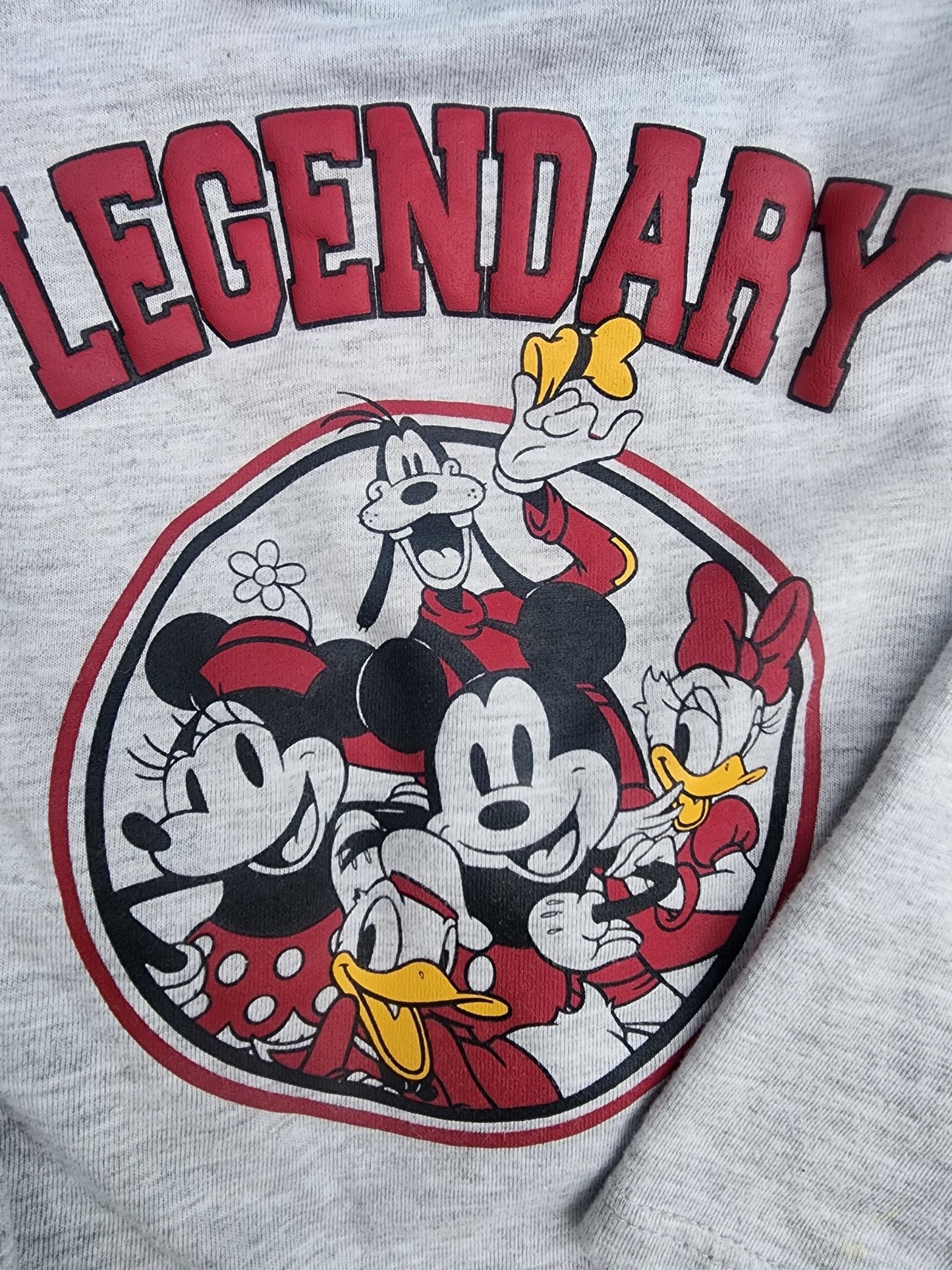 Mickey Mouse Girls Long Sleeve Top, Tutu Skirt, and Scrunchie 3T - I Bought a Yard Sale