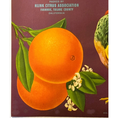 Antique 1930s Pride of Venice Cove Orange Crate Label — Klink Citrus Association, Ivanhoe, Tulare County CA