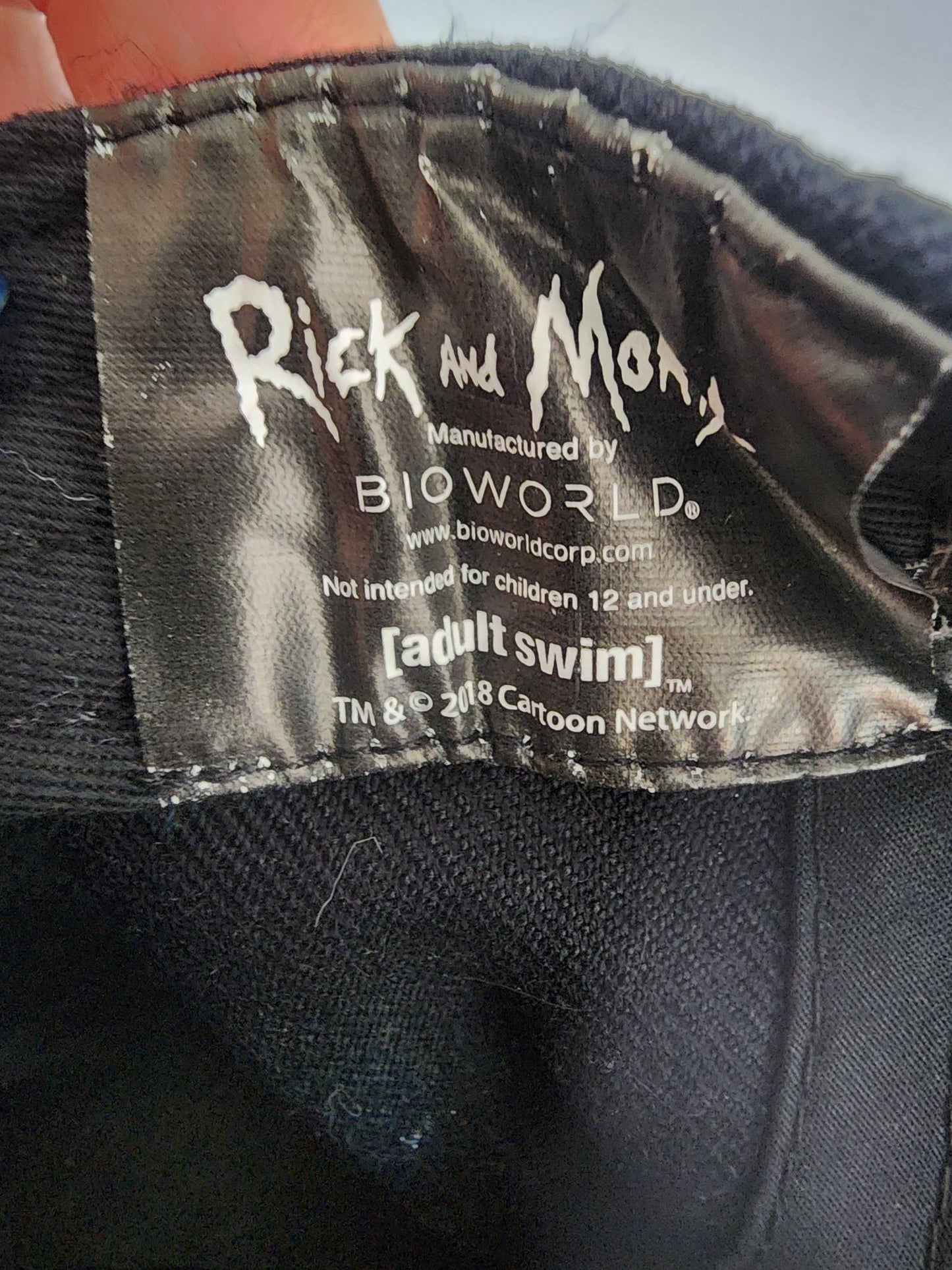 Rick & Morty Pickle Rick Snapback adjustable Hat Adult Swim Cartoon Network Bioworld in good condition never worn, mainly shelf wear. - I Bought a Yard Sale