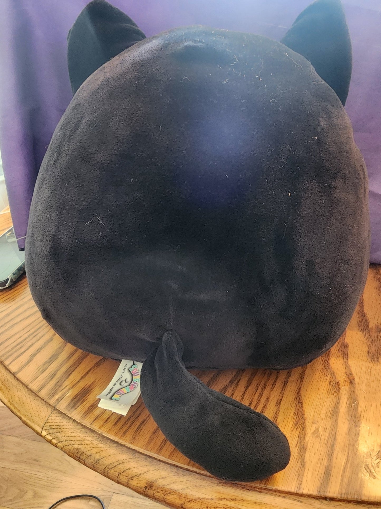 Squishmallows Autumn Black Cat 12" Purple Belly Halloween Plush Squishmallow - I Bought a Yard Sale