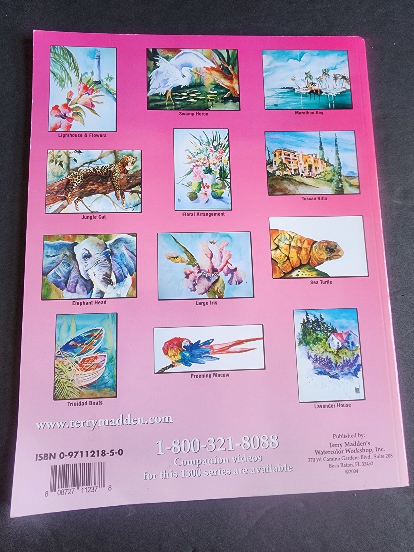 Terry Madden s Wonderful World of Watercolor - 1200 Series - Volume 2, pb book - I Bought a Yard Sale