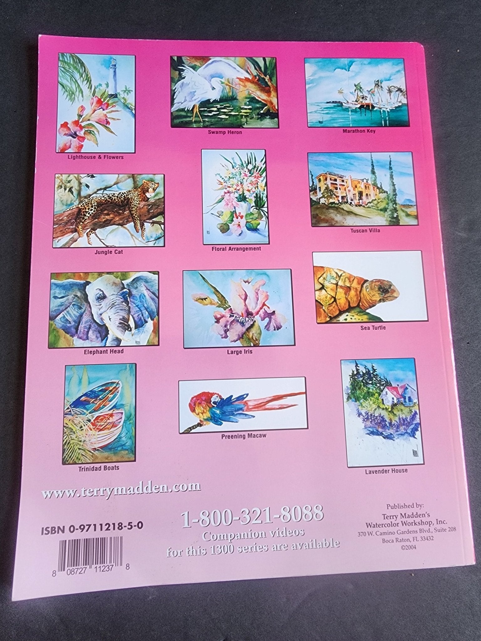 Terry Madden s Wonderful World of Watercolor - 1200 Series - Volume 2, pb book - I Bought a Yard Sale