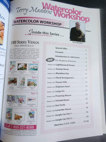 Terry Madden s Wonderful World of Watercolor - 1200 Series - Volume 2, pb book - I Bought a Yard Sale